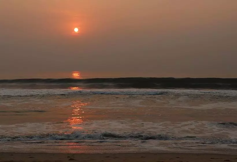 Fotos del hotel Vestin Park:  11