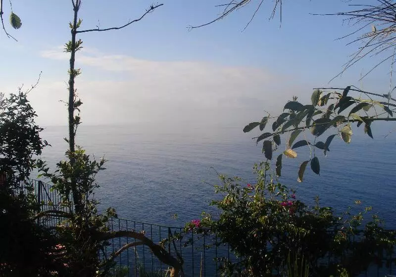 Fotos del hotel Inn & Art Madeira:  6