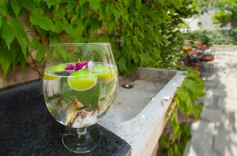 Fotos del hotel Alma:  5