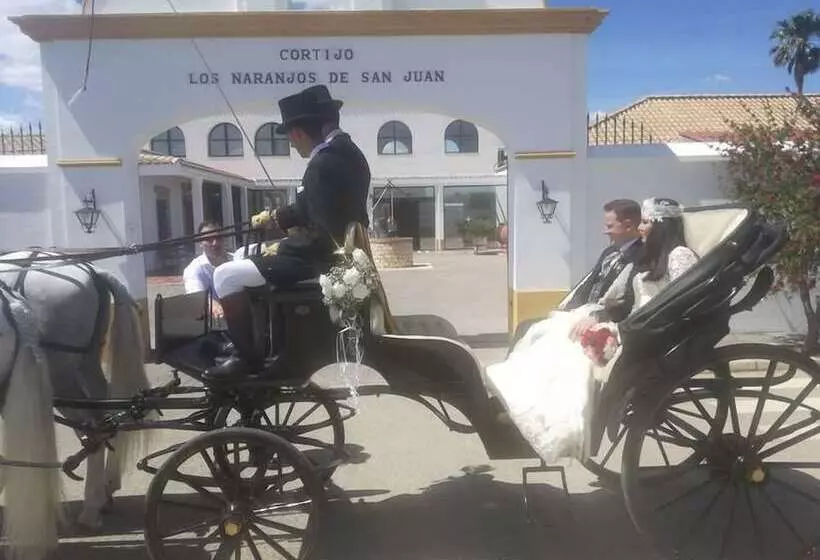 Fotos del hotel Cortijo Los Naranjos de San Juan:  8