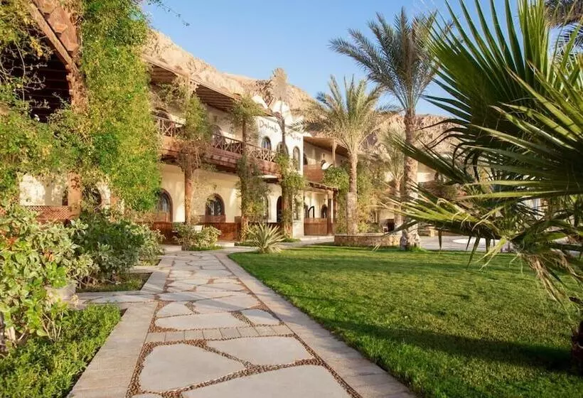 Fotos del hotel Dahab Paradise:  8