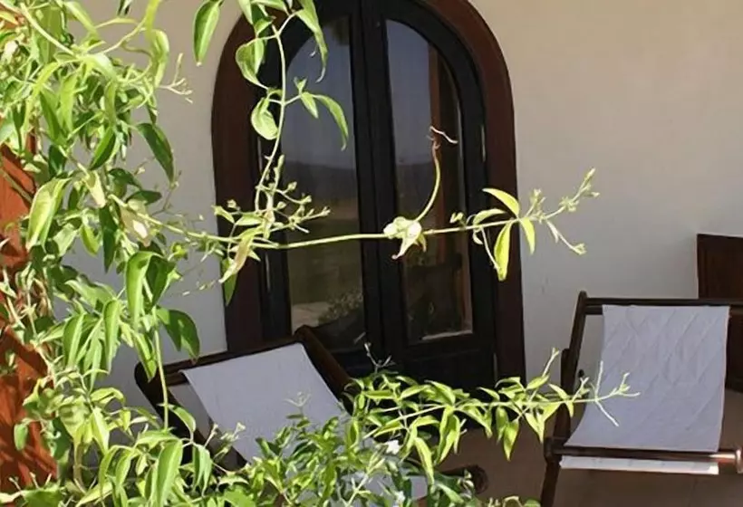 Fotos del hotel Dahab Paradise:  13