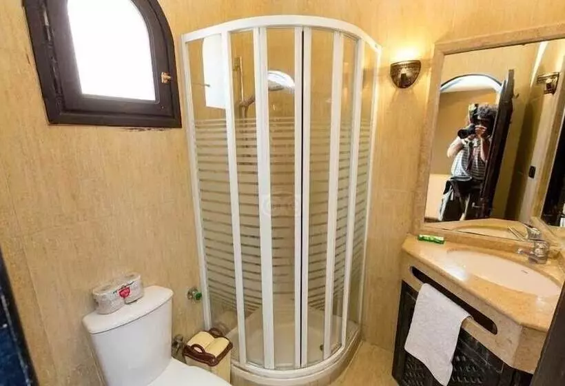 Fotos del hotel Dahab Paradise:  4