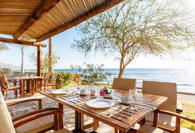 Fotos del hotel Dahab Paradise:  15