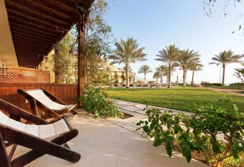 Fotos del hotel Dahab Paradise:  3