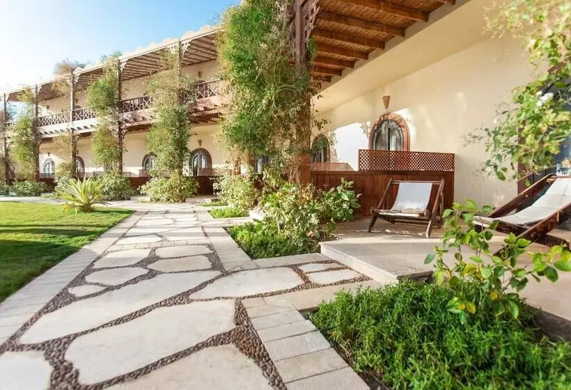 Fotos del hotel Dahab Paradise:  7