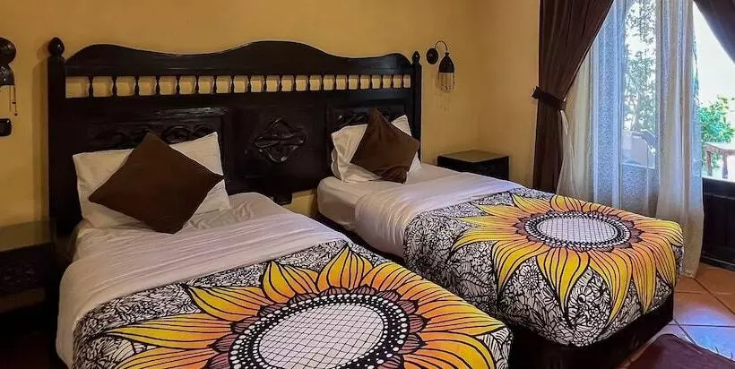 Fotos del hotel Dahab Paradise:  9