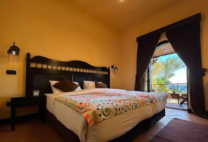 Fotos del hotel Dahab Paradise:  18