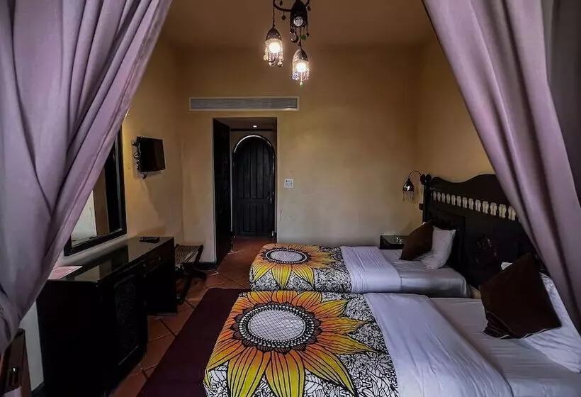 Fotos del hotel Dahab Paradise:  6