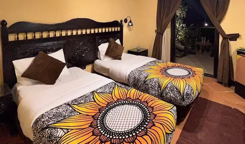 Fotos del hotel Dahab Paradise:  14