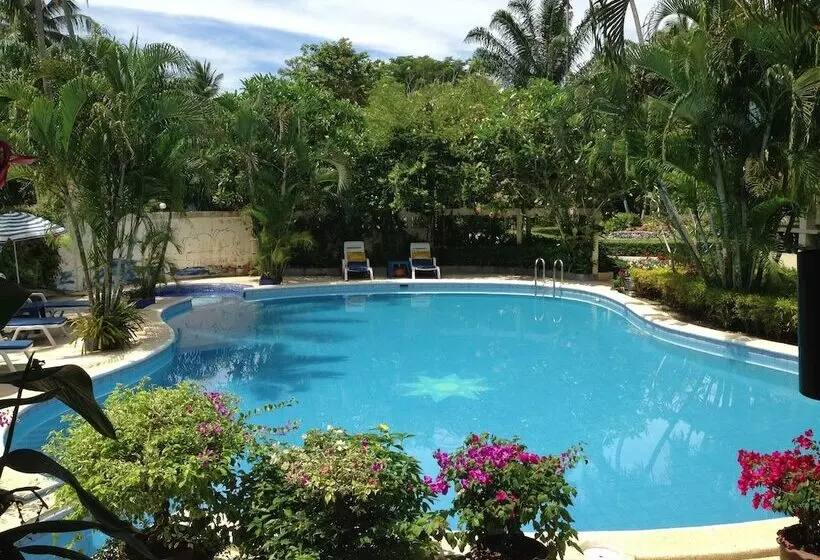 Fotos del hotel Ekman Garden Resort:  2