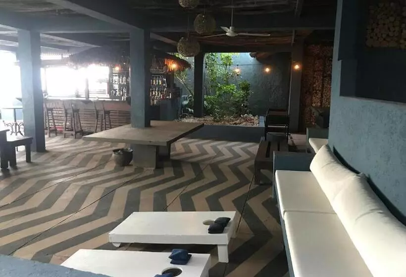 Fotos del hotel Moxons Beach Club:  3