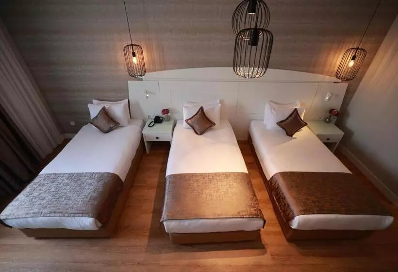 Fotos del hotel Golden Park  Taksim Bosphorus:  13