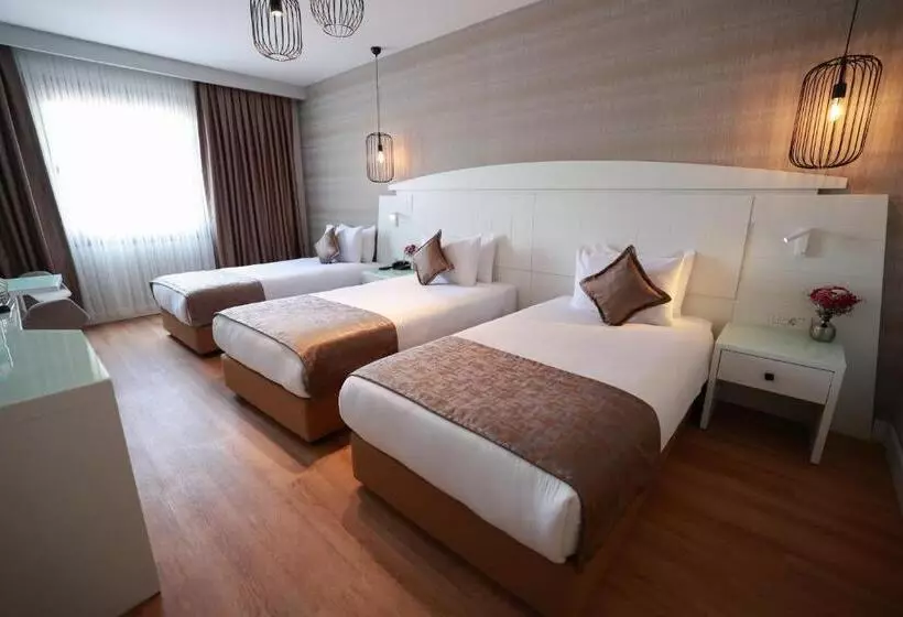 Fotos del hotel Golden Park  Taksim Bosphorus:  16