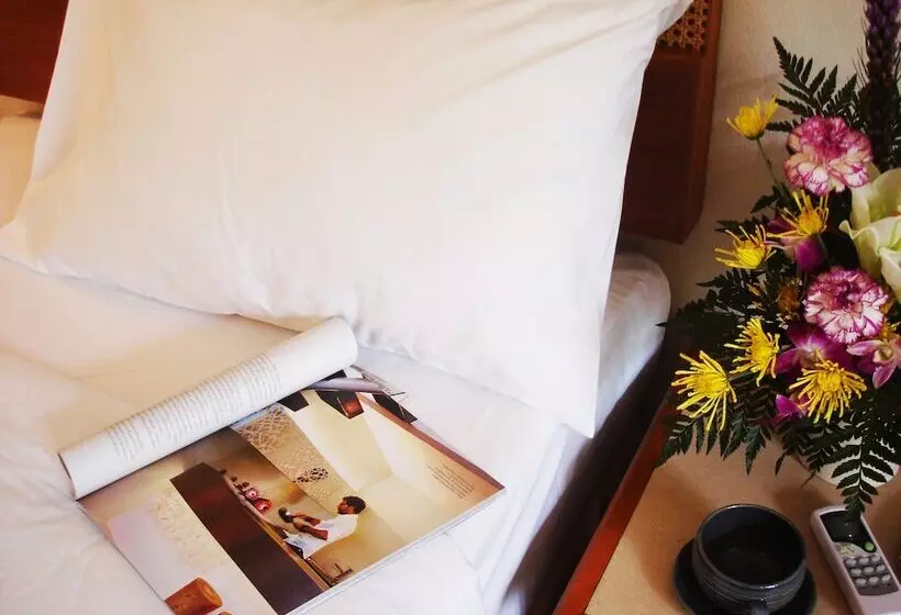 Fotos del hotel Sunset Mansion:  22