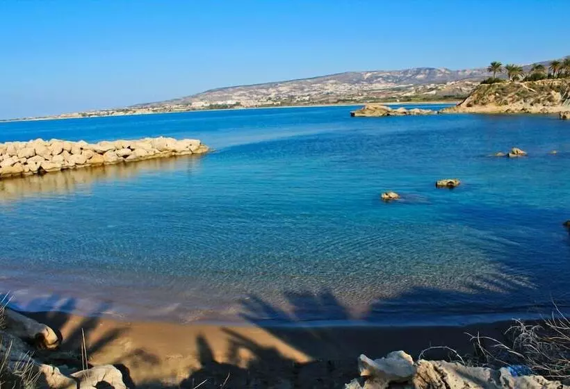 Fotos del hotel Theo Sunset Bay:  13