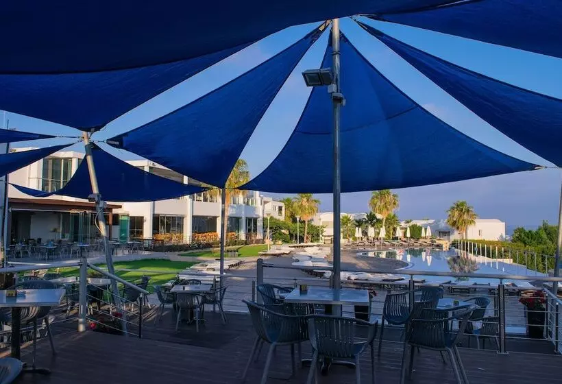 Fotos del hotel Theo Sunset Bay:  6