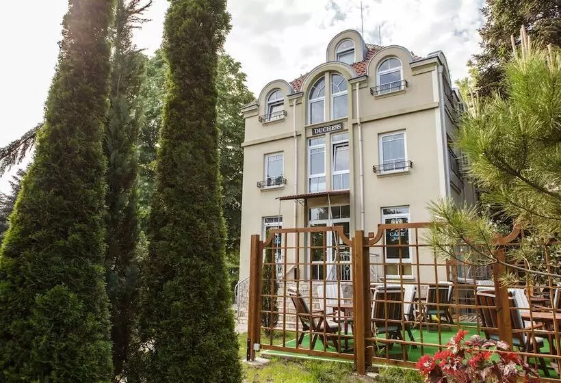 Fotos del hotel Duchess:  9