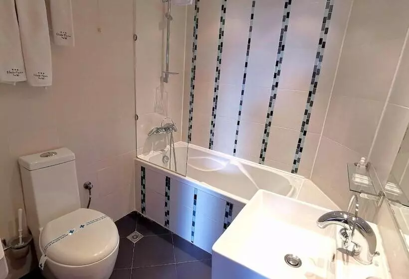 Fotos del hotel Elate Plaza Hotel:  5