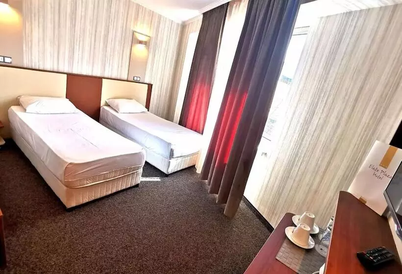 Fotos del hotel Elate Plaza Hotel:  7