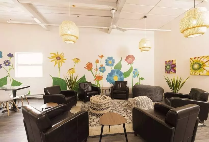 Fotos del hotel Du Nord:  20