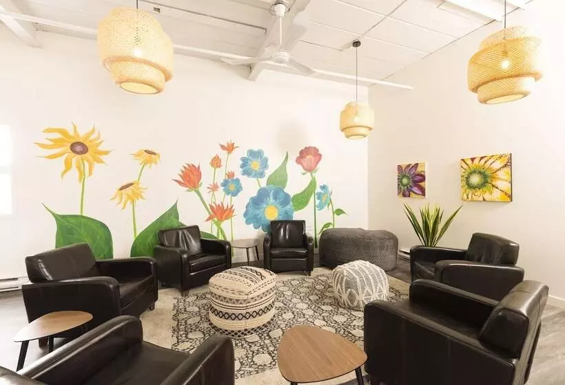 Fotos del hotel Du Nord:  21