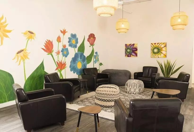 Fotos del hotel Du Nord:  17