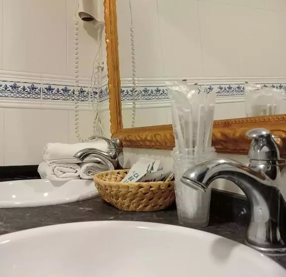 Fotos del hotel Nuevo Arlanza:  12