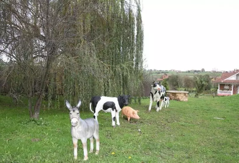 Fotos del hotel Felisa Spa:  12