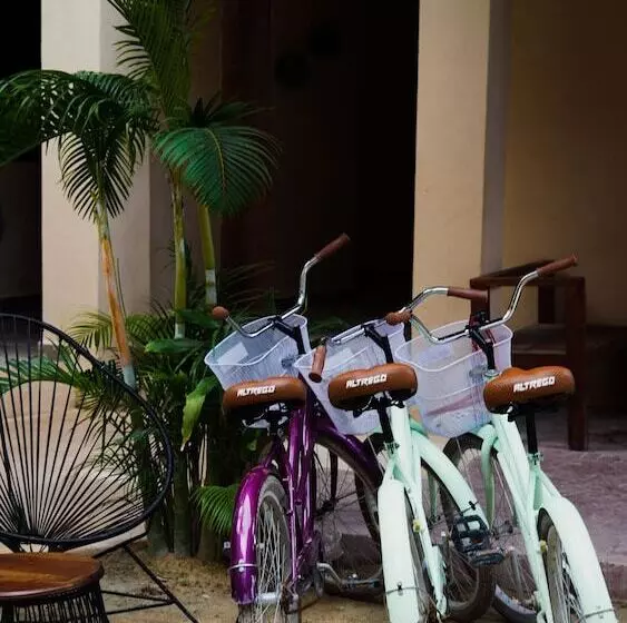 Fotos del hotel Villas El Jardin:  18