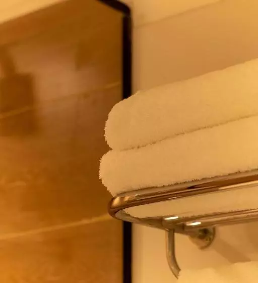 Fotos del hotel Up América Plaza:  24