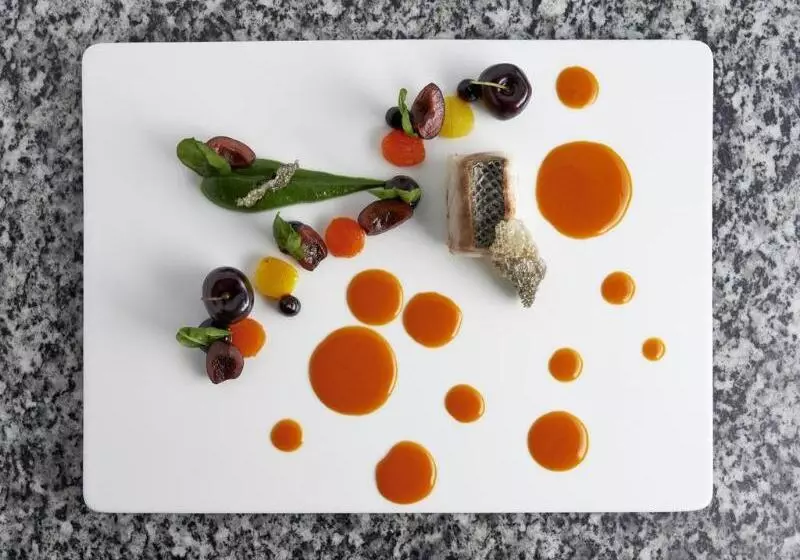 Fotos del hotel The Omnia:  13