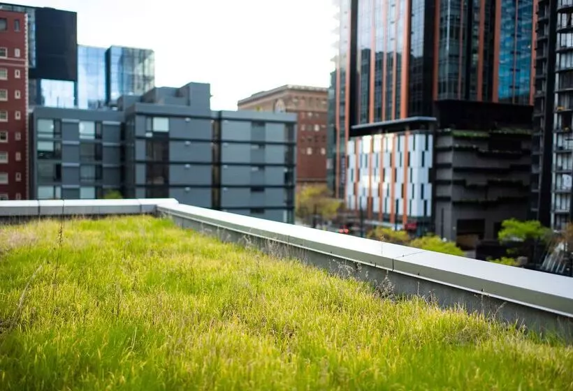 Fotos del hotel Hyatt At Olive 8:  19