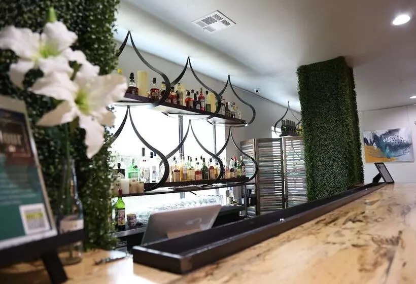 Fotos del hotel Ylem:  11