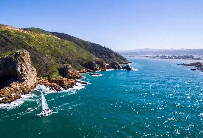 Fotos del hotel Aha The Rex:  8