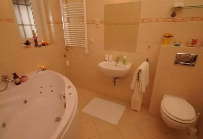 Fotos del hotel Budapest Museum Central:  5