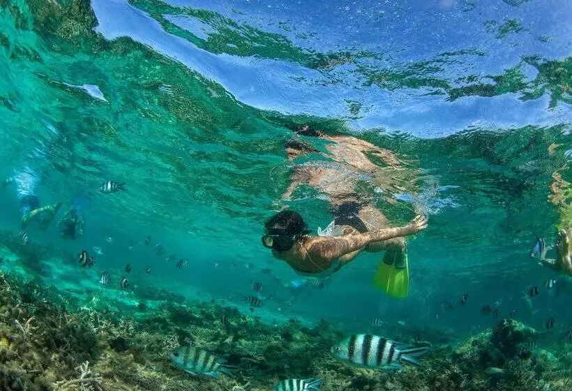Fotos del hotel Intercontinental Mauritius Resort Balaclava Fort, An Ihg:  4