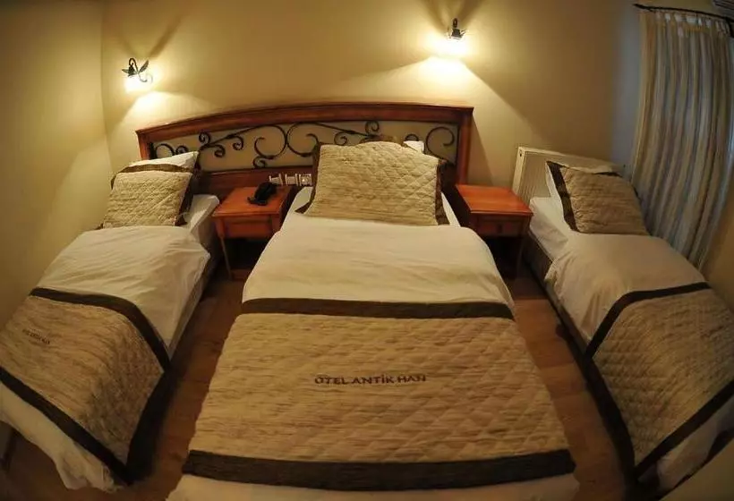 Fotos del hotel Antikhan:  12