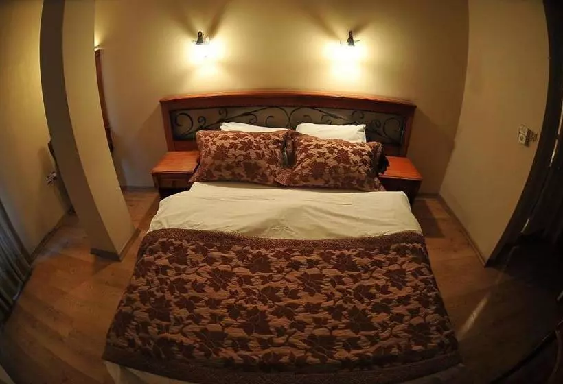 Fotos del hotel Antikhan:  10