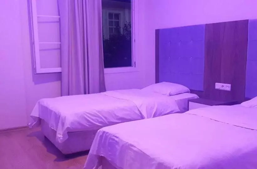 Fotos del hotel Antikhan:  18