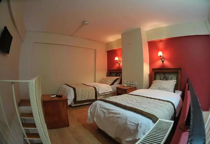 Fotos del hotel Antikhan:  13