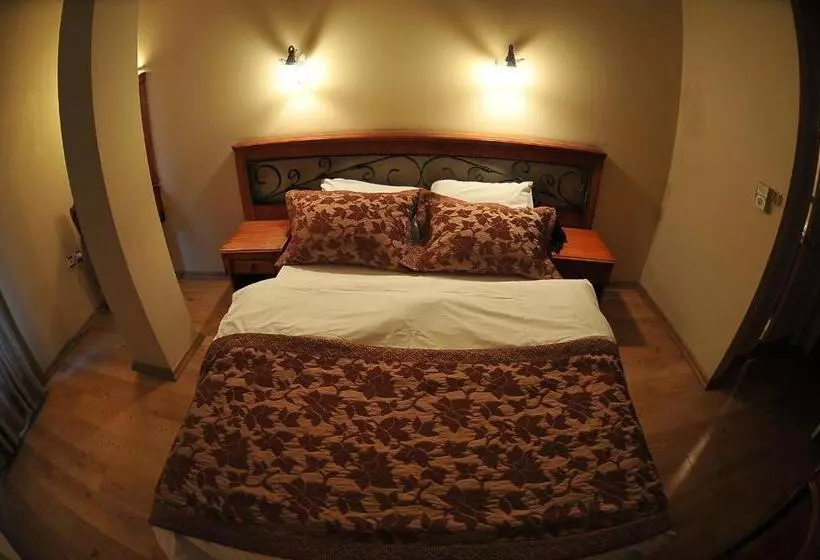 Fotos del hotel Antikhan:  14