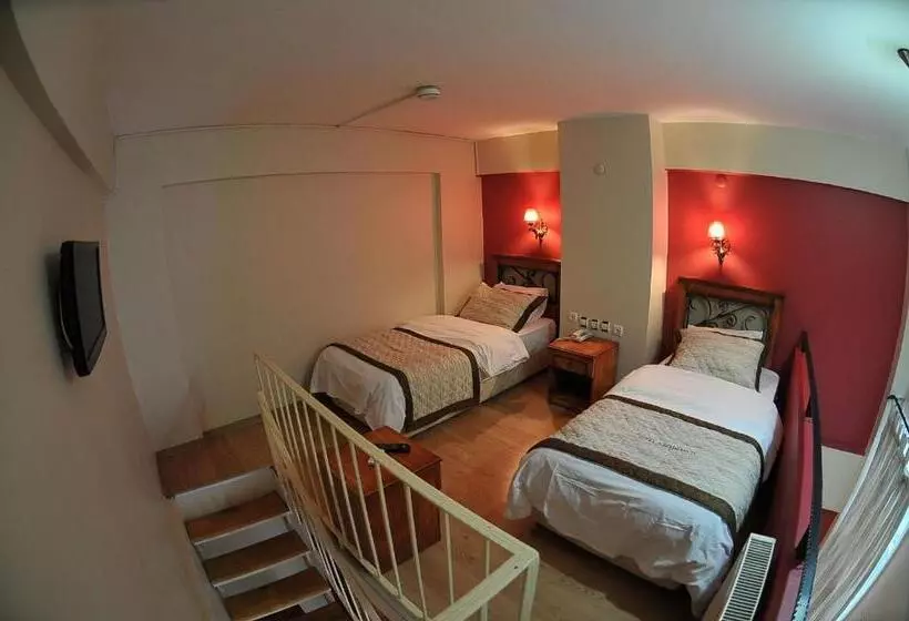 Fotos del hotel Antikhan:  16