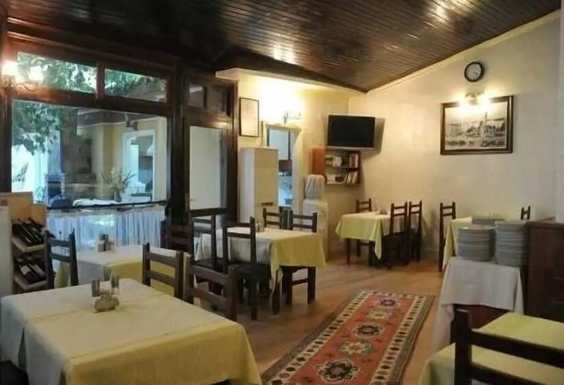 Fotos del hotel Antikhan:  4