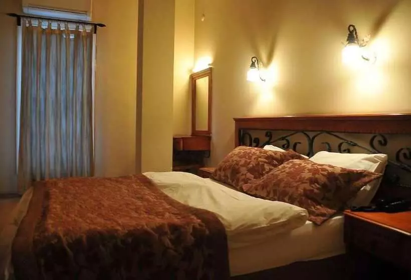 Fotos del hotel Antikhan:  7