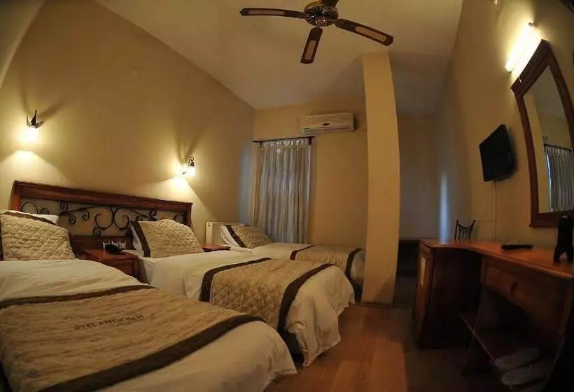 Fotos del hotel Antikhan:  5