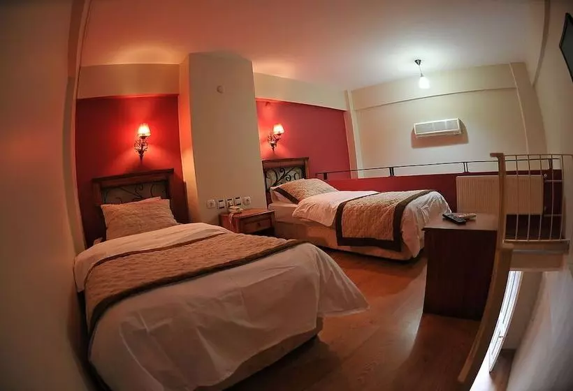 Fotos del hotel Antikhan:  3