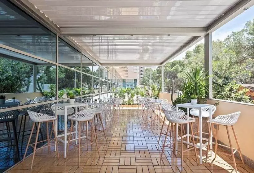 Fotos del hotel Cullera Holiday:  16