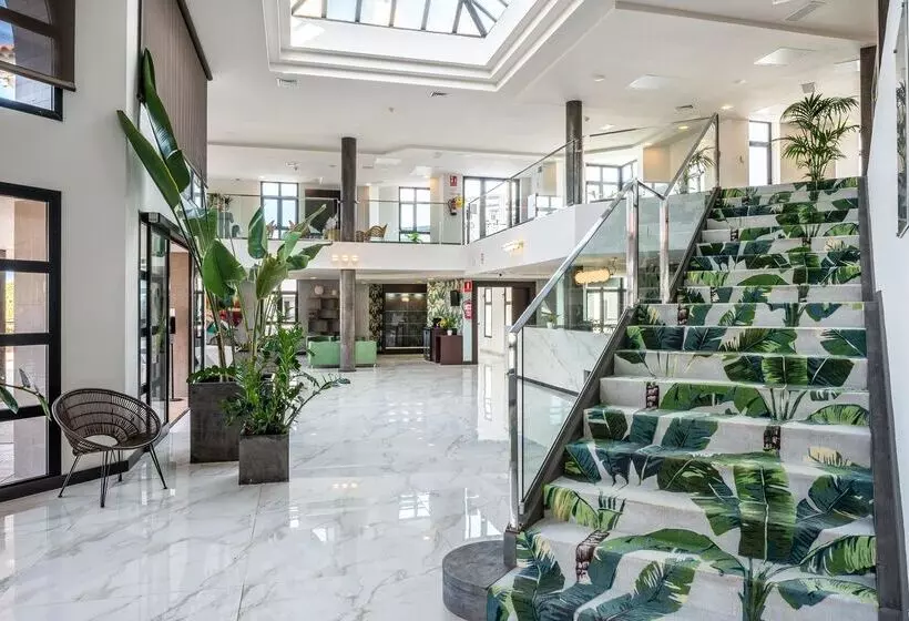 Fotos del hotel Occidental Roca Negra:  20