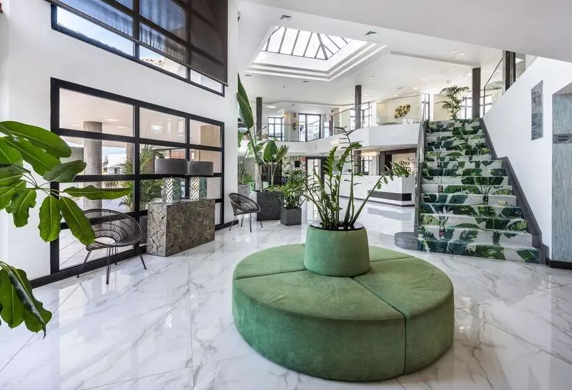 Fotos del hotel Occidental Roca Negra:  19